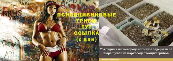марки lsd Ладушкин