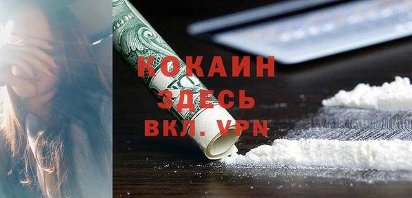 ПСИЛОЦИБИНОВЫЕ ГРИБЫ Лабытнанги