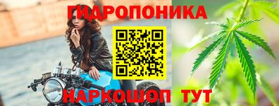 прущие грибы Гай