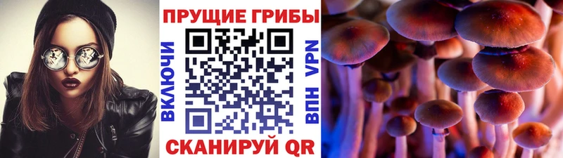 Галлюциногенные грибы прущие грибы  купить наркотик  Кемерово 
