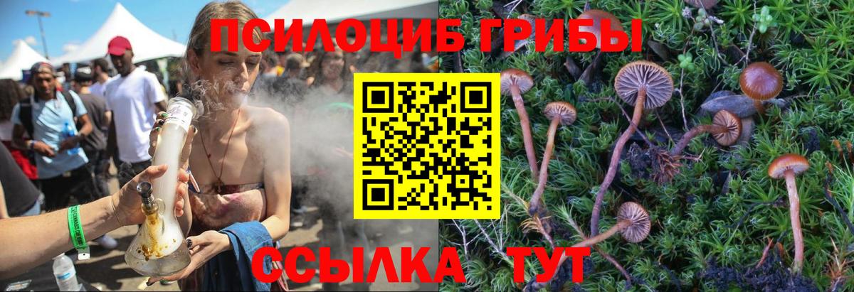 Псилоцибиновые грибы мицелий Кемерово