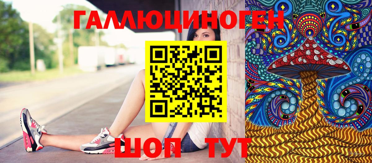 Псилоцибиновые грибы Psilocybe  Кемерово 