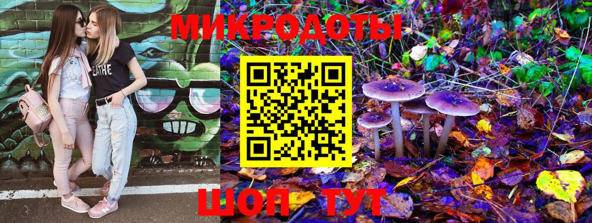 Псилоцибиновые грибы Psilocybe  Псилоцибиновые грибы Psilocybe  Кемерово  Вход с VPN 